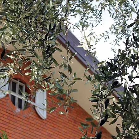 Bed & Breakfast Antonietta *